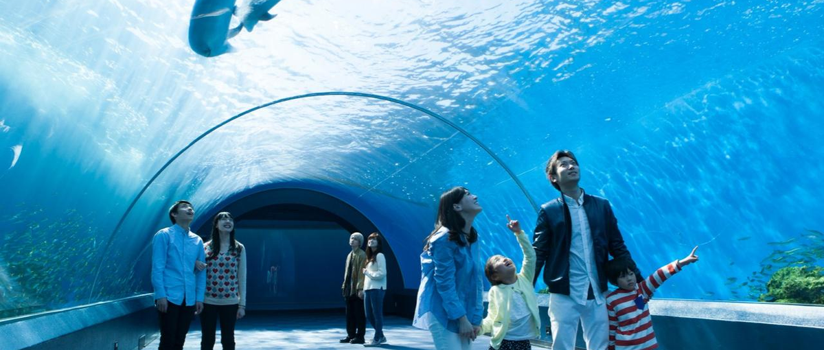 市場規模17兆円！観光・レジャー業界の経営改革に取り組むコンサルタント