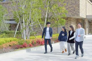 普段はオンラインで業務を行うことが多いですが、年1回は全員が広島に集まり、懇親会も行っています。関わり続けることで学びがある、また居心地の良い会社になることを目指しています。