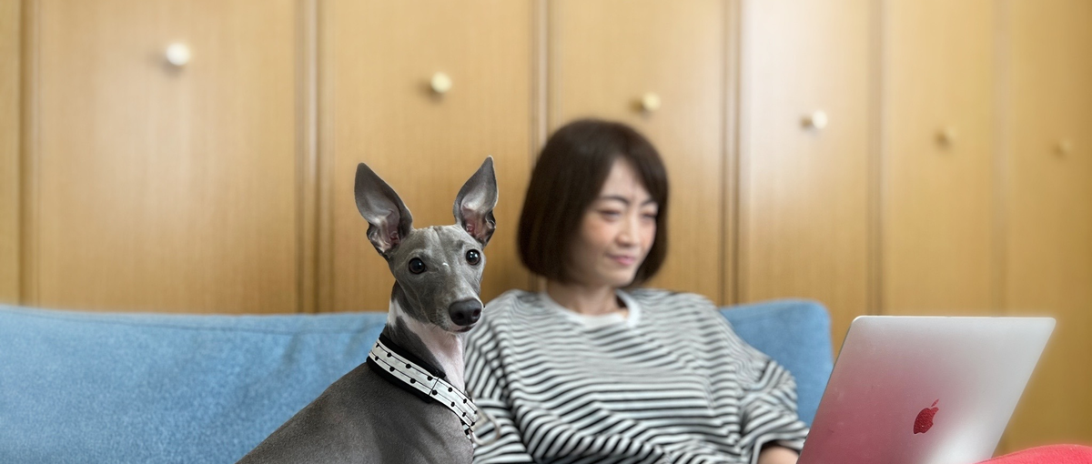 おうちでできる！工夫しながらKPIに向き合えるISメンバー募集