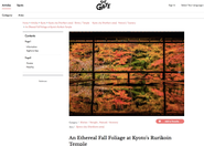 オリジナルな情報を様々な言語で発信