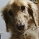 今中