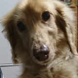 今中