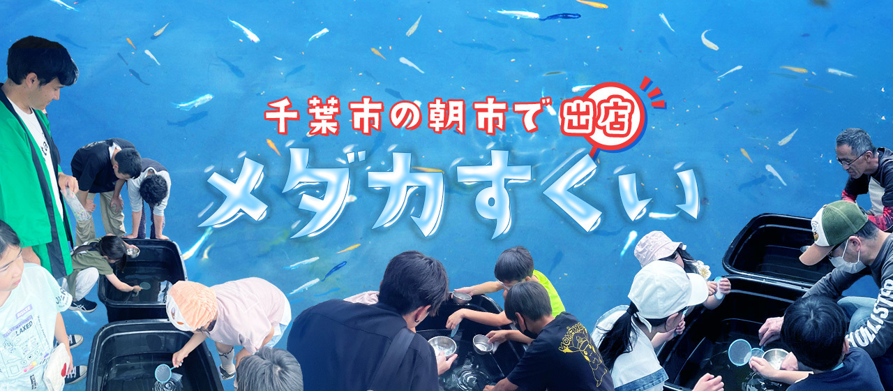 【地方創生】千葉市の朝市でメダカすくいを出店しました！