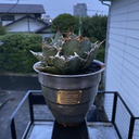 神崎壱聖