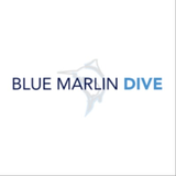 BlueMarlinDive