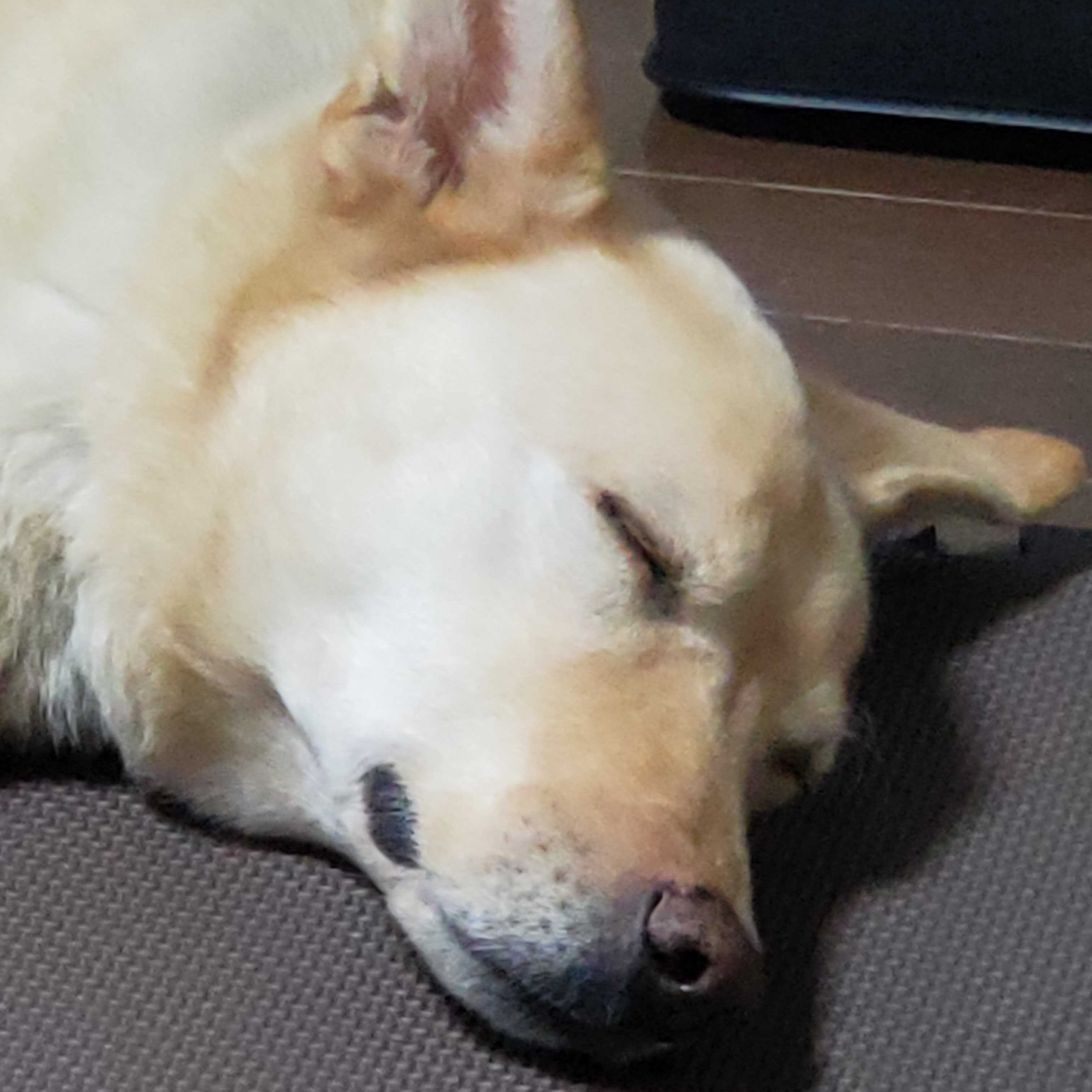 仙葉 隆聖