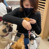 三ヶ㞍 綾香