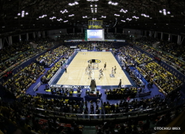 試合内容だけではなく、空間全てを含めてバスケットボールというアリーナエンタ−テインメントが創出されます。その全てを私達が作っています。