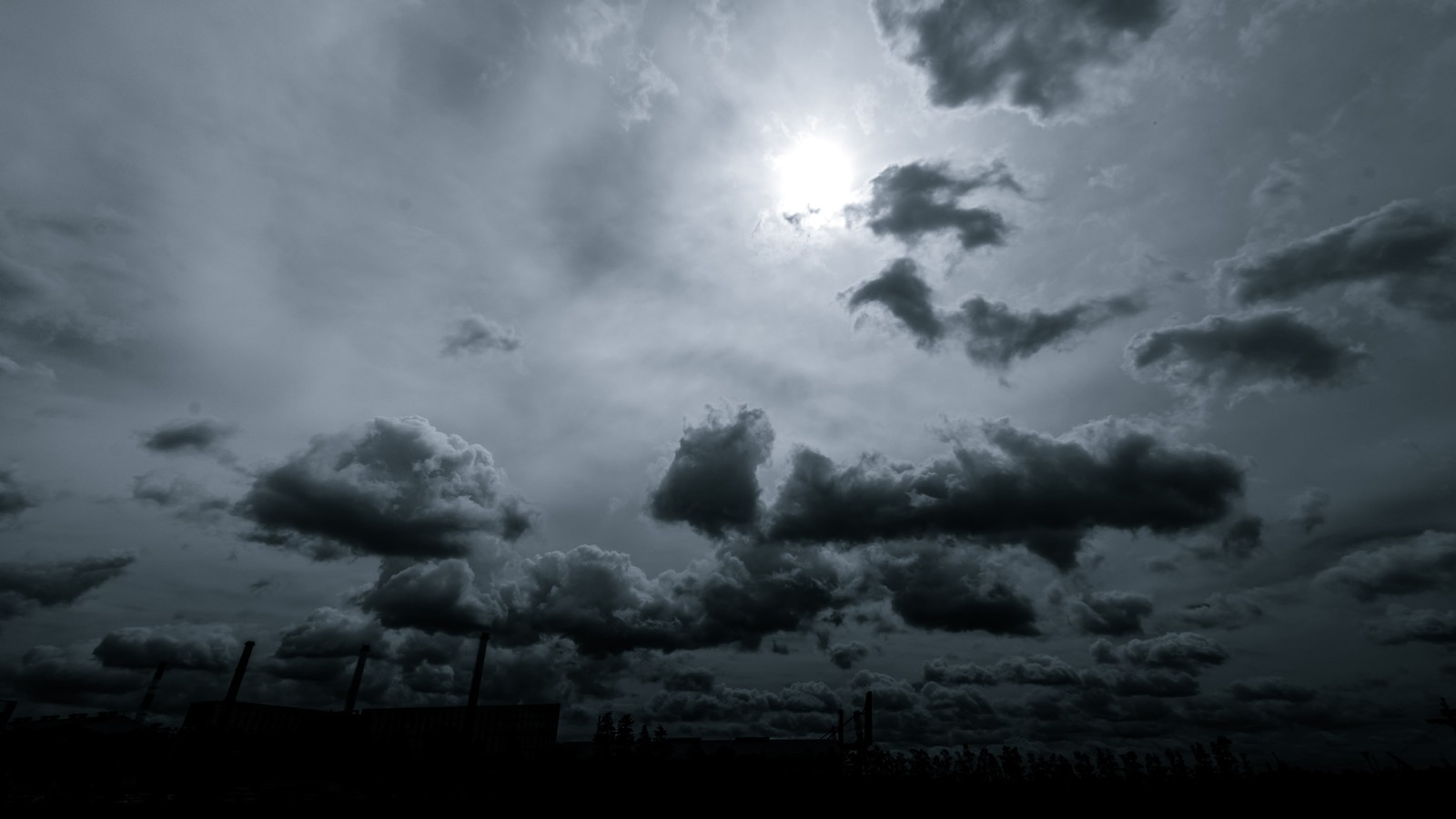 「唯一生き残ることが出来るのは・・・」〜2019年の締め括り〜