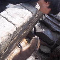 菊池涼介さんのプロフィール