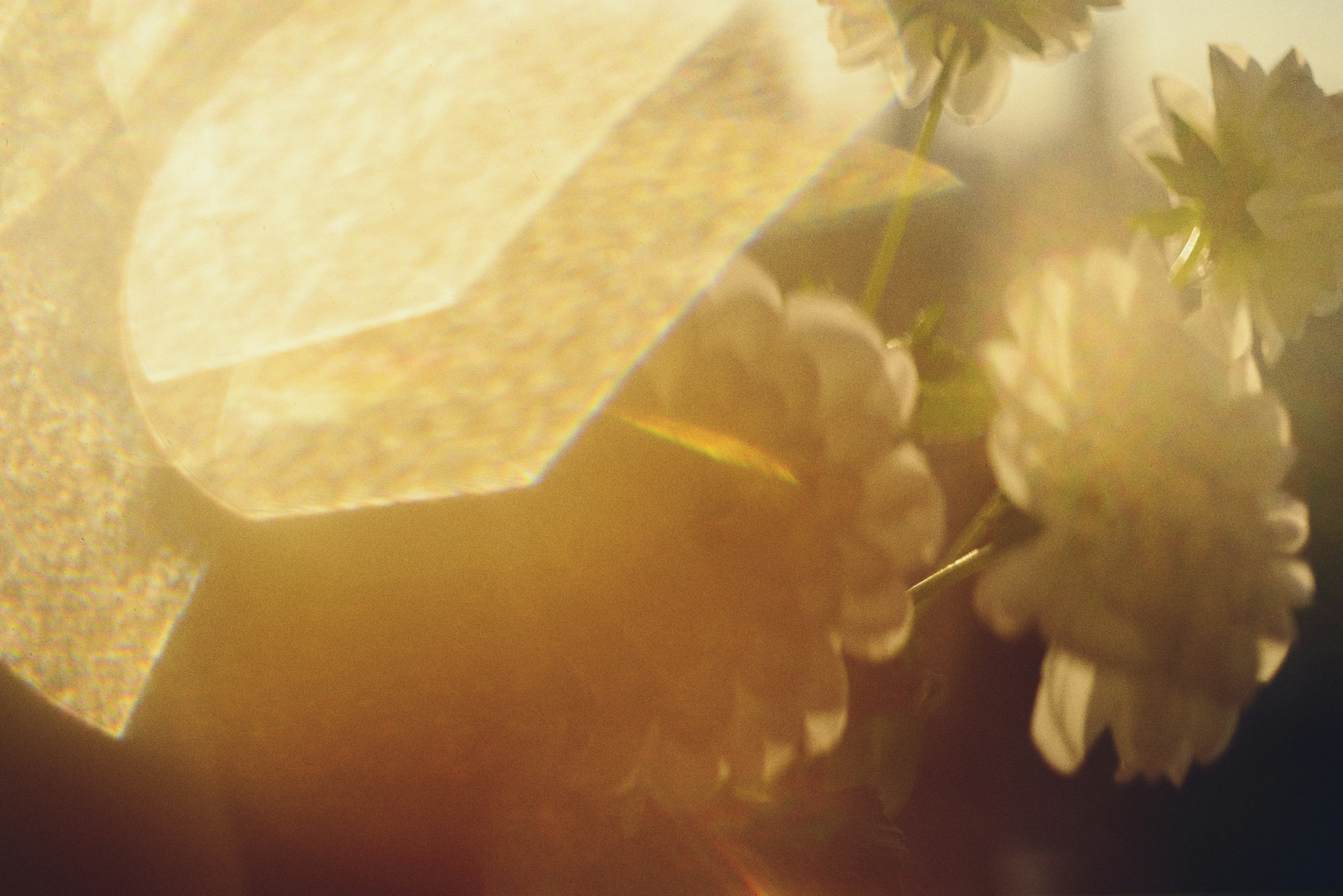 【川口勇氣】AI技術導入の判断基準。ビジネス価値と技術的実現性の間で考えること