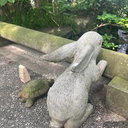 佐々木 はる