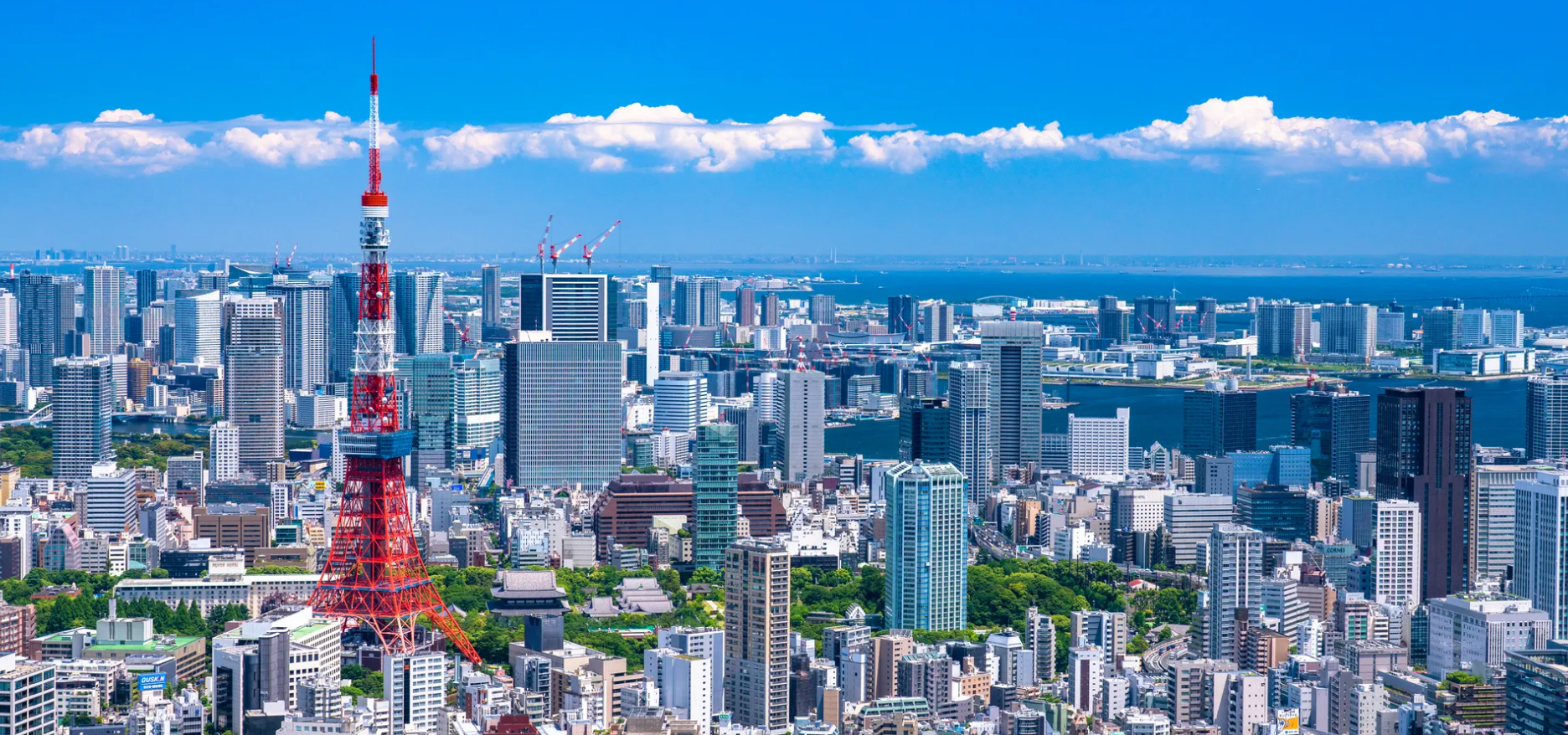 都公認プロダクトを持つITベンチャーの中身とは！？1問1答で全貌を丸裸にします！