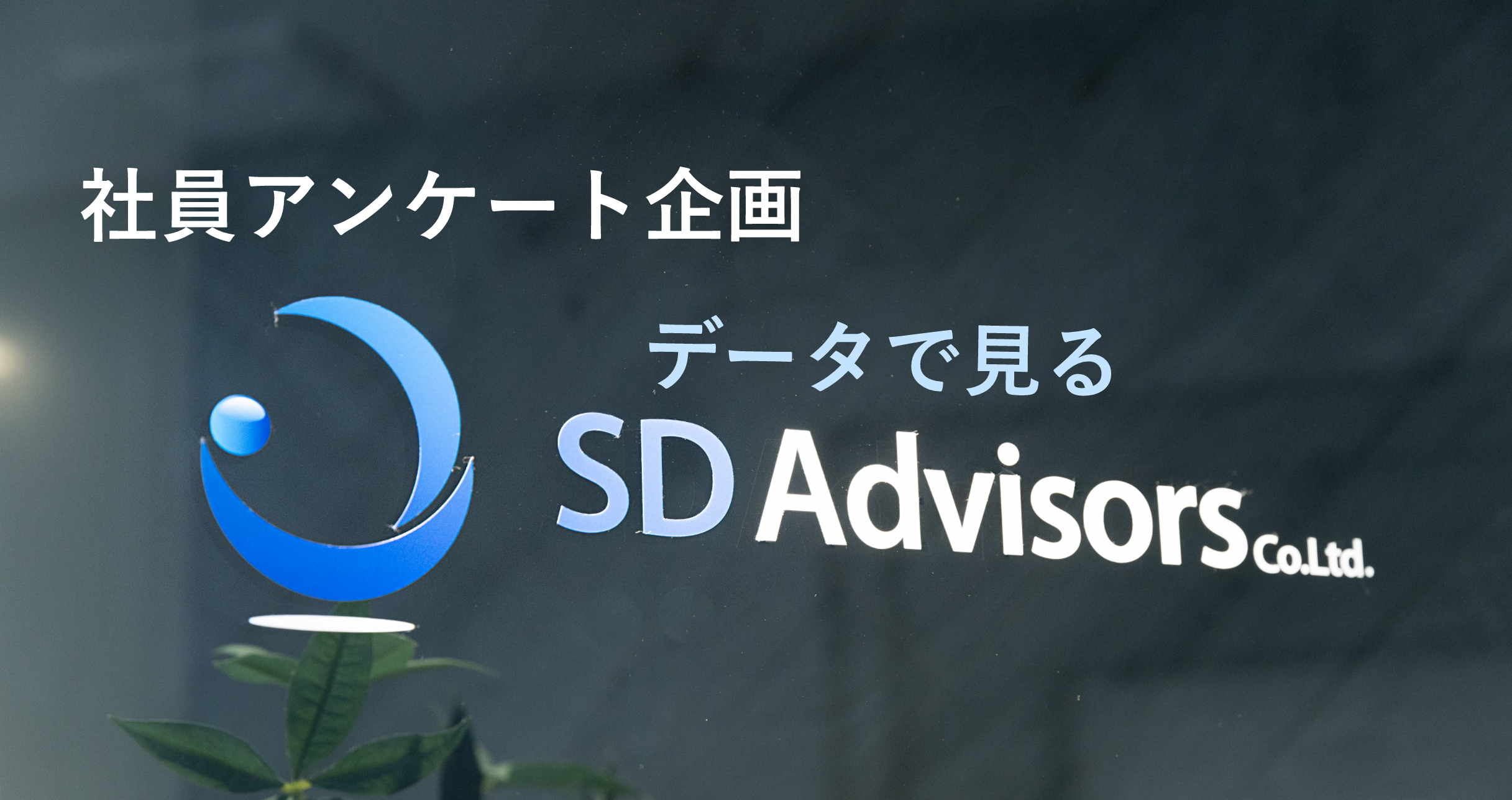 【社員アンケート】ほう。こんな結果に。