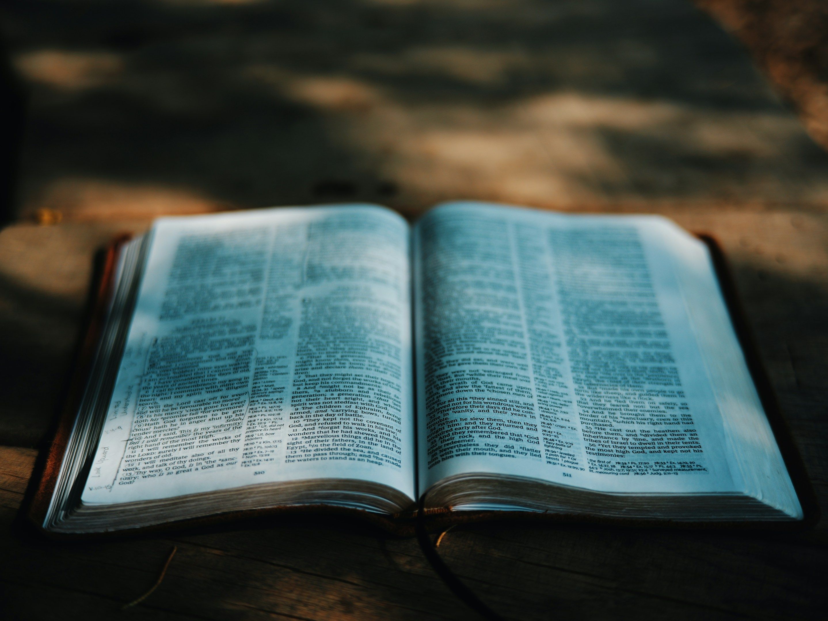 興味や関心の先にある学びと突き詰めるという事