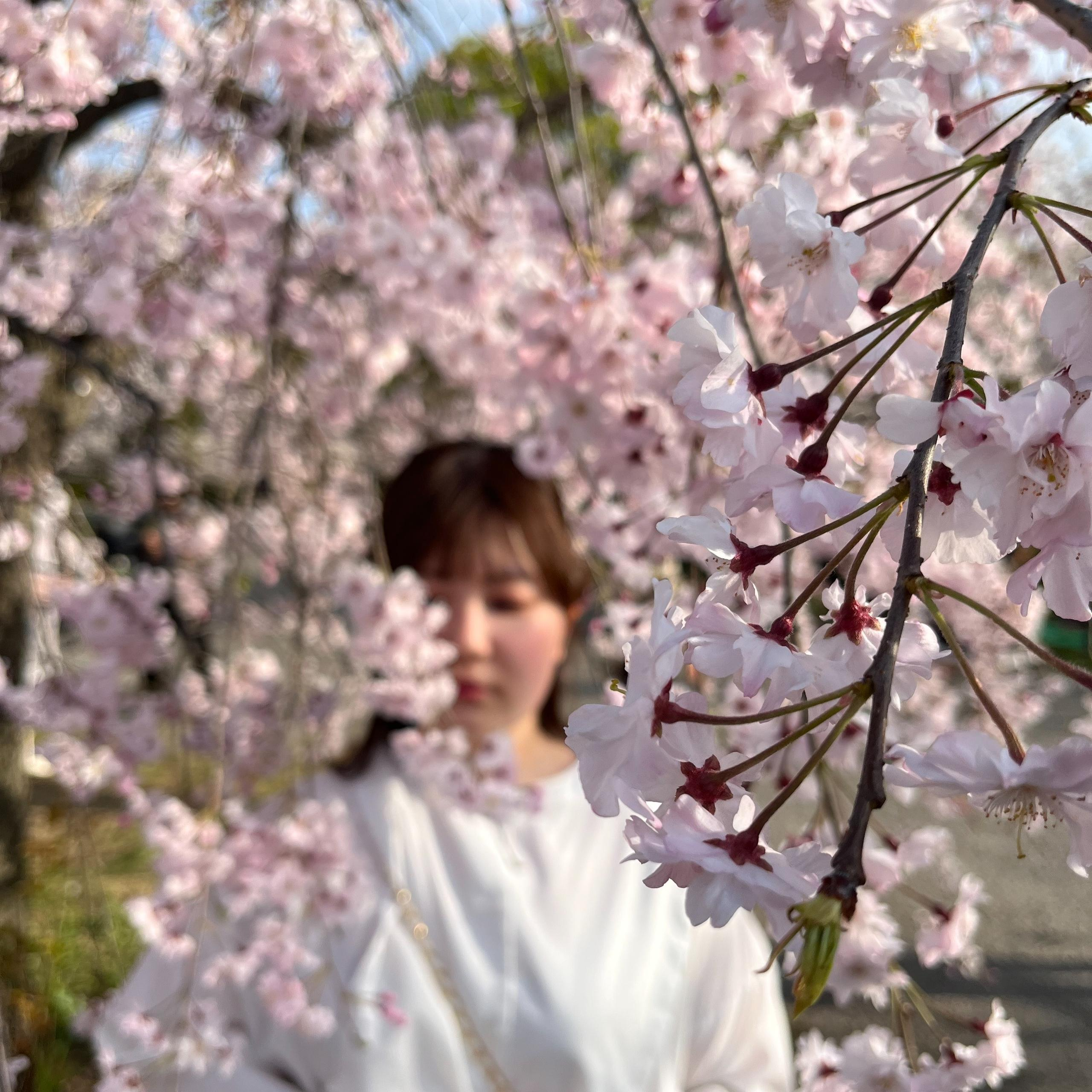 Honoka Watanabe