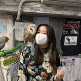 赤井 香南帆
