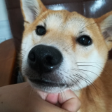 なぎさ 浜中