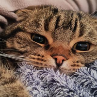 中楯晃さんのプロフィール