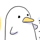 真由 川嶋