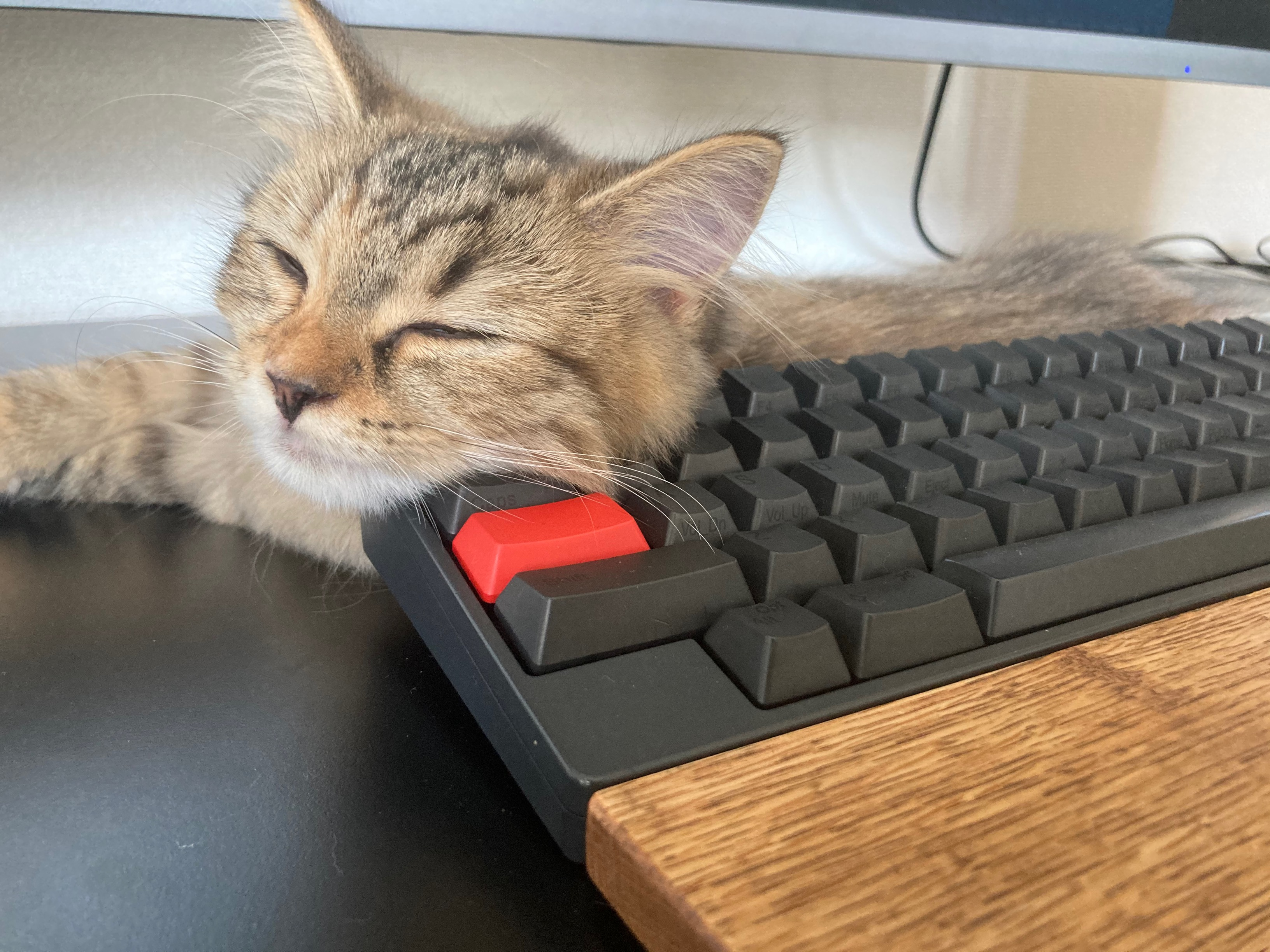 “面白さ”と“シェアNo.1”を追求中！エンジニアユニットリーダーのキャリア