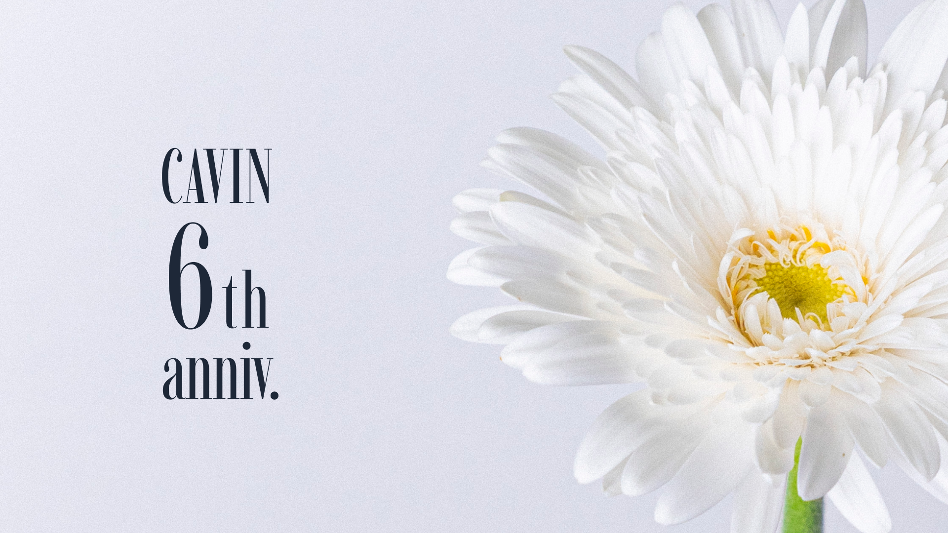 6周年｜CAVIN anniversary
