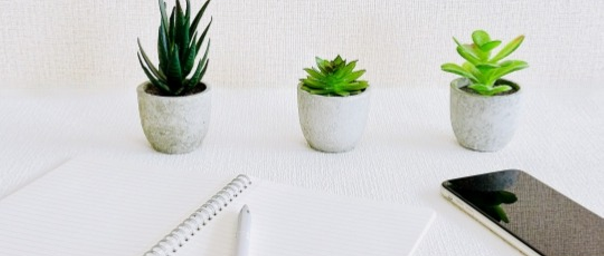 焦らず無理せず頑張れる。だから安心して成長できる場所。