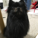 峯岸 純也
