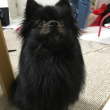 峯岸 純也