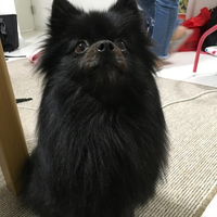峯岸 純也