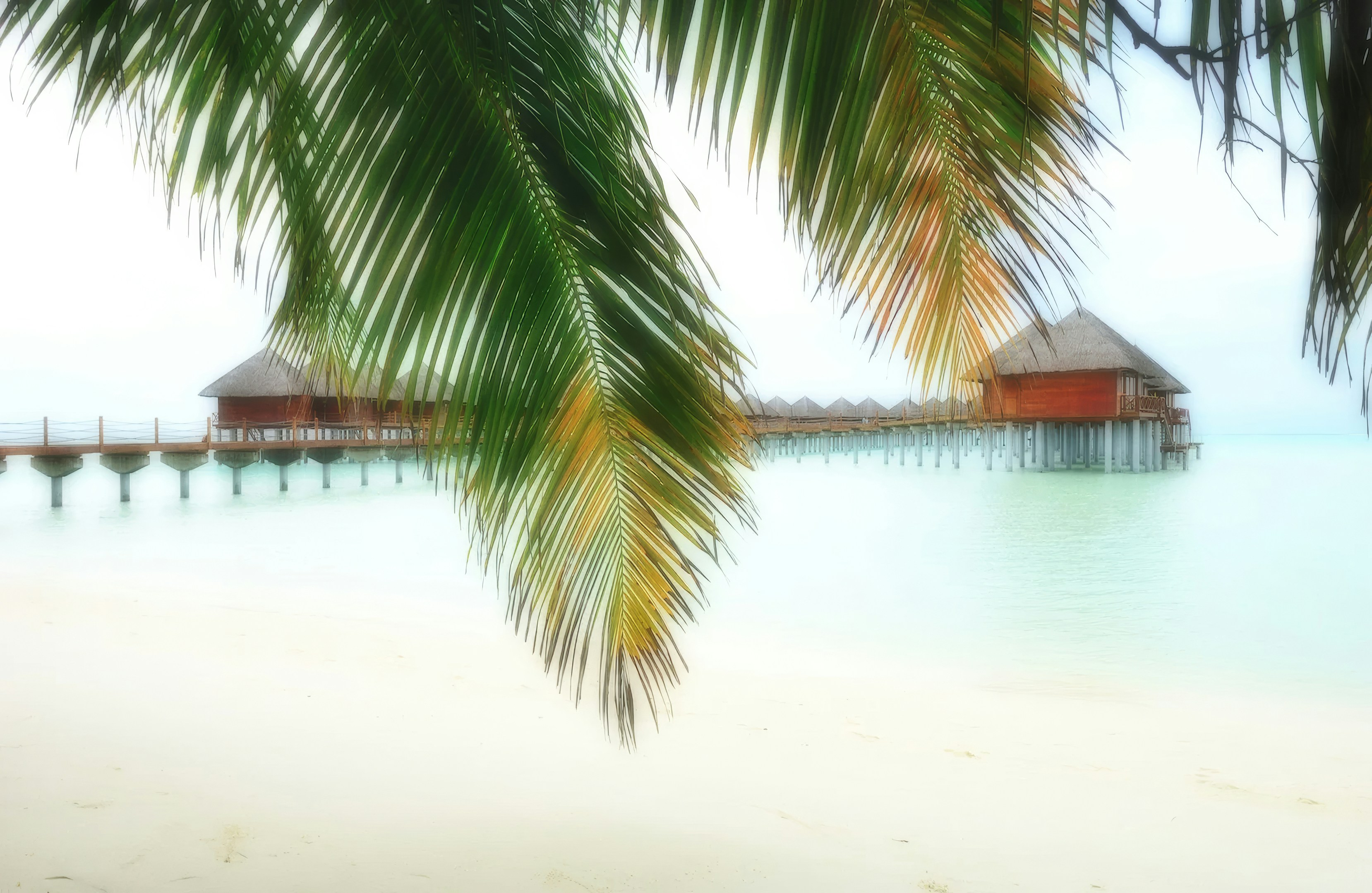 ”VOGUE風30の質問”を、Chat GPTにOCEANS風の質問に変換してもらい、答えてみた