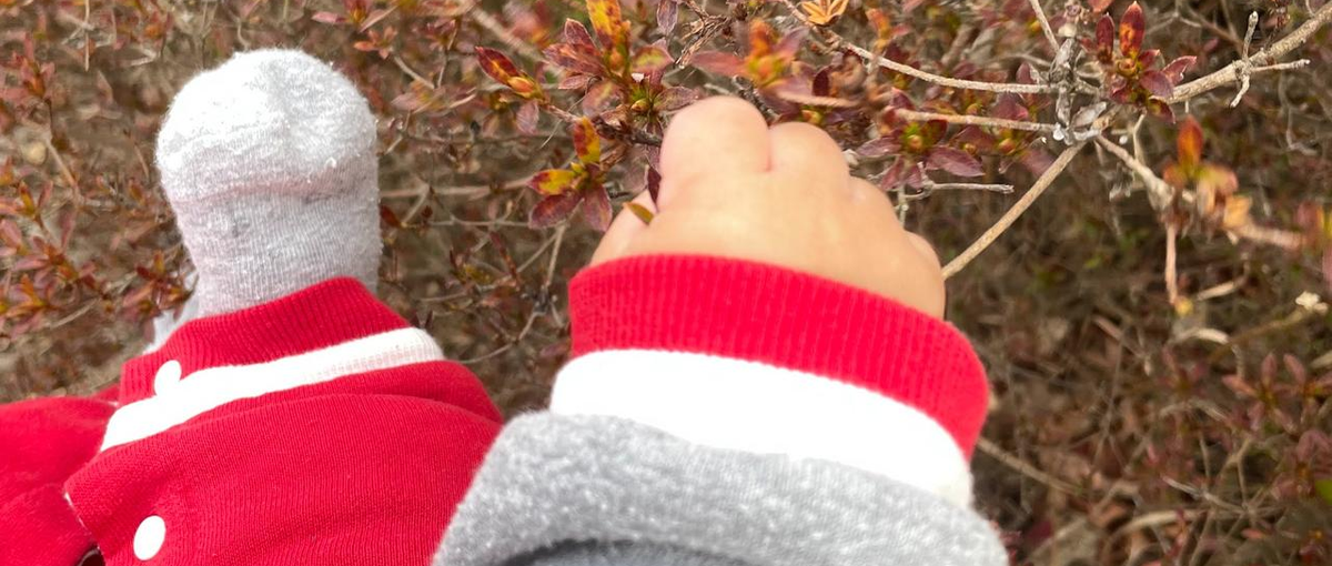 乳幼児の母子支援に特化！小児科経験ありの看護師さん優遇！