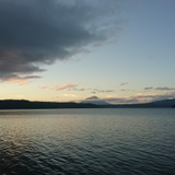 山崎 実編