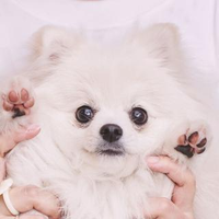 江口 未紗