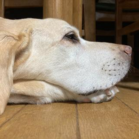 Takada Motokiさんのプロフィール