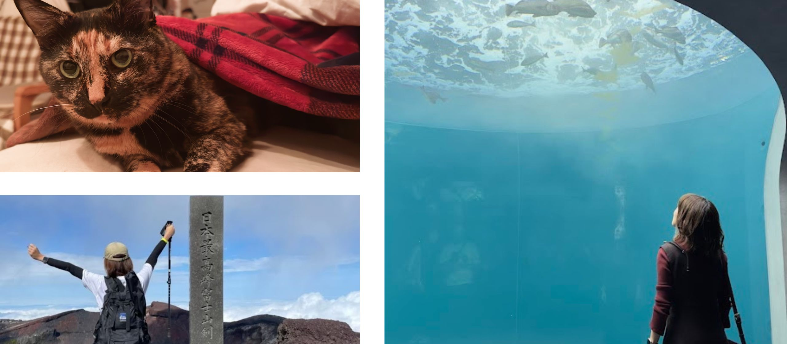 未経験SEで入社後、デザイナーに転身！チャレンジャーな山本さんのキャリア観に迫る