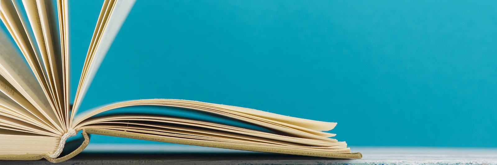 株式会社クローバー・サンで、資格取得支援制度を作りました！！