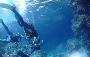 2024年社員旅行in沖縄。オンは全力集中、オフは全力で楽しむ！メリハリある組織です。