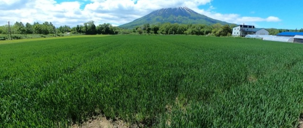 写真経験を活かして、人と人の関係性を自然あふれる地域で見つめ直すしごと