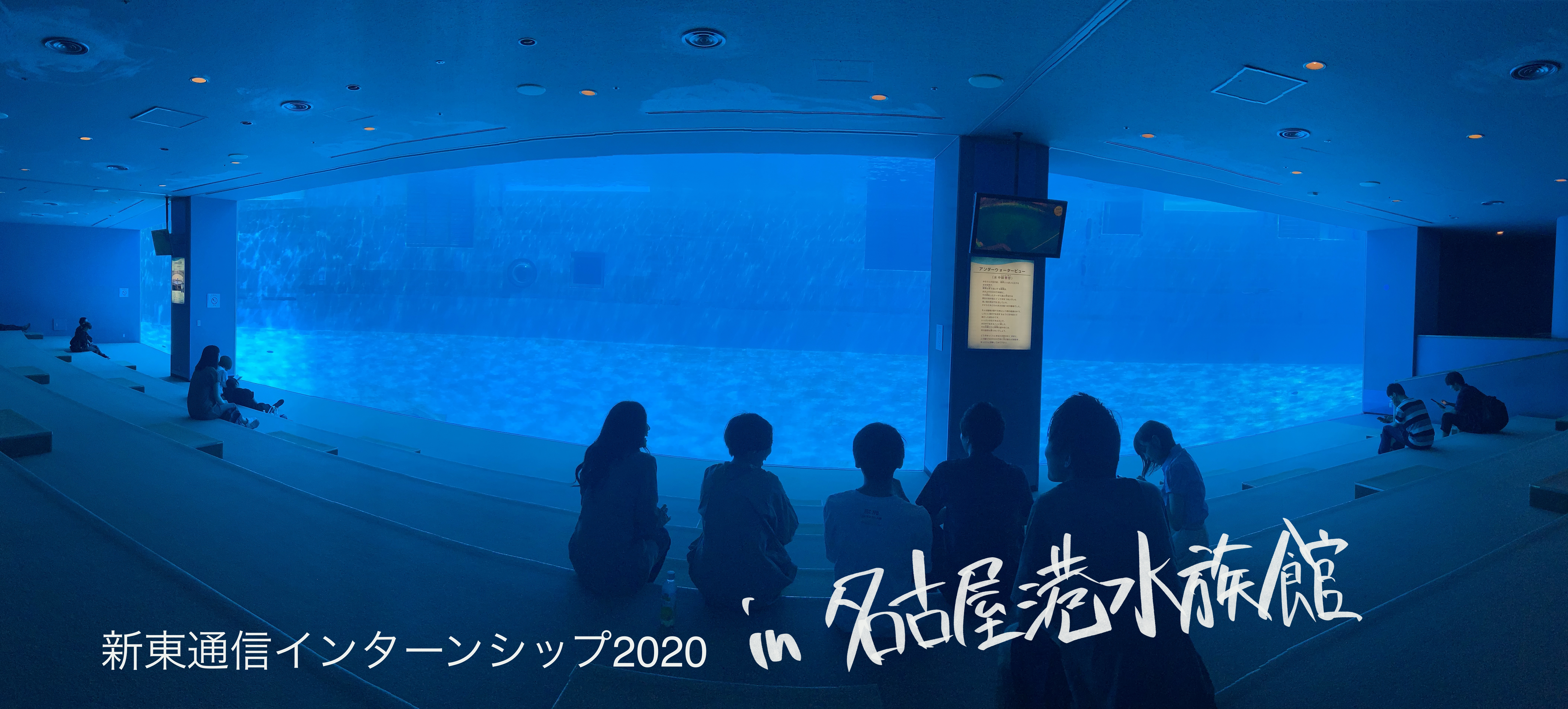 2021卒 2daysインターンシップ -今夏は...水族館⁉︎-内定者がお届け