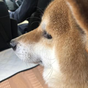 松橋 祐弥