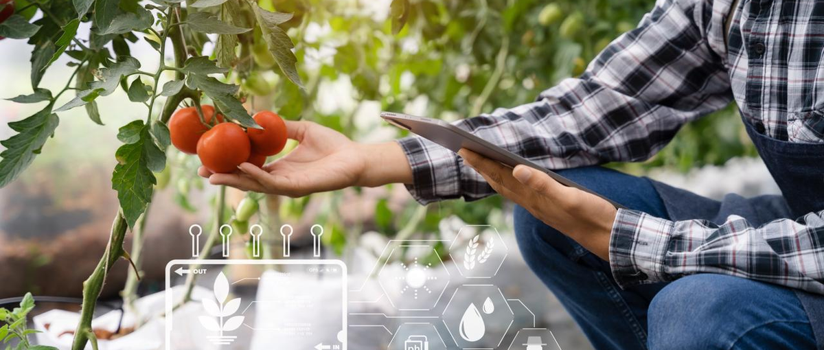 テクノロジーのチカラで農業の変革を担う、サーバーサイドエンジニアを募集！