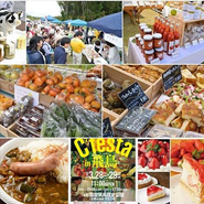 奈良県との共催・総動員数22万人を誇る奈良のフードイベント”C'festa（シェフェスタ）"。企画・運営をNIPが行っています