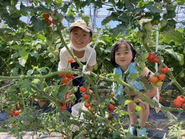 未来の子ども達にも、現代と同様に国産野菜を食べさせたい