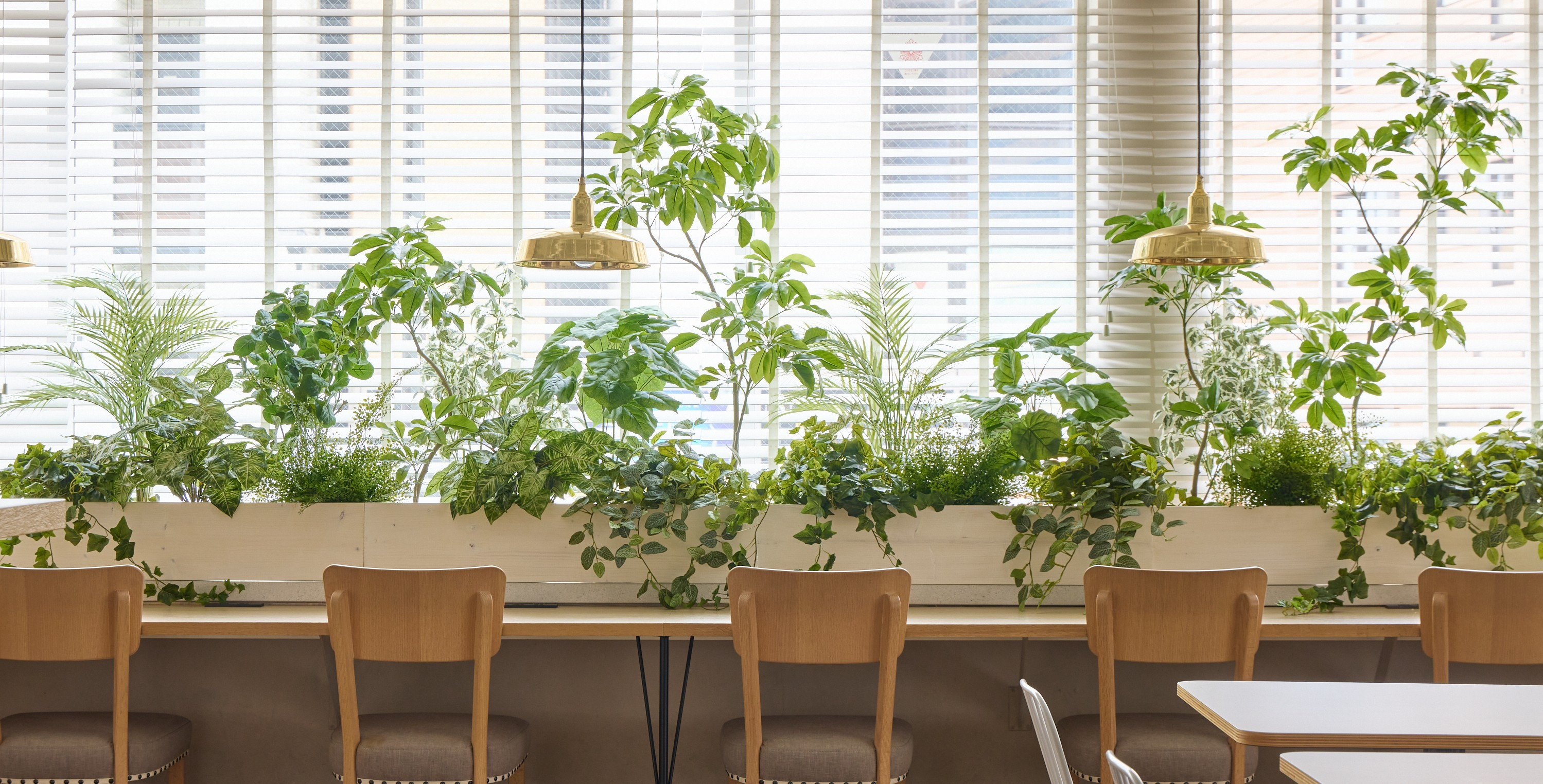 【奥山佳奈子】自分を表す3つの言葉