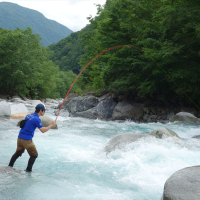 田中 五月さんのプロフィール