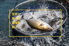 地方創生×マーケティング｜ふるさと納税でバズを生み出す。