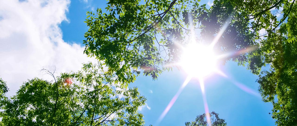 ゼロからのインフラエンジニア～成長環境に身を置きたい方Wanted！