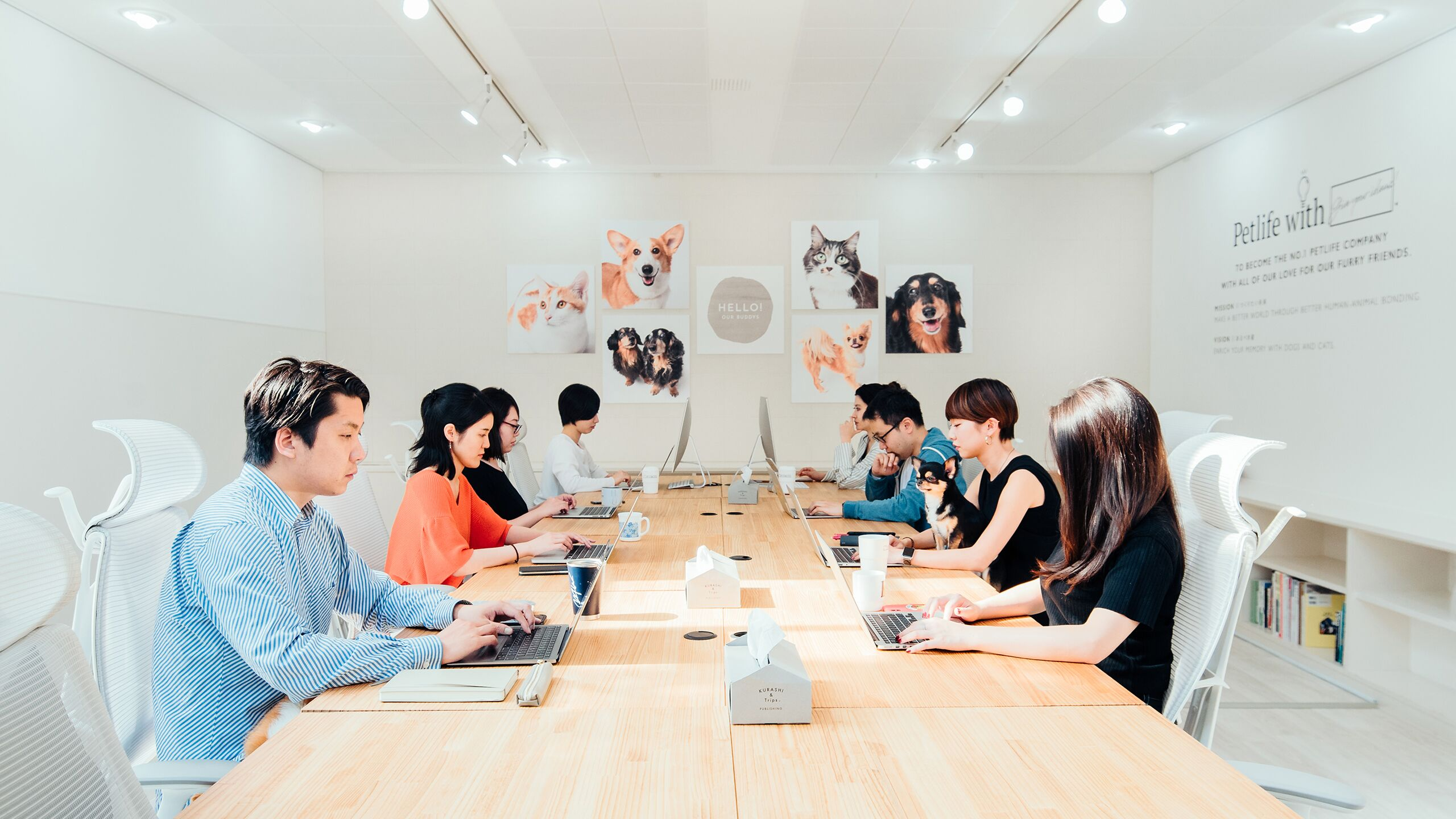 各ポジションにて採用募集を開始いたします