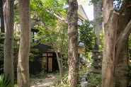 オフィスは木に囲まれた場所にあります